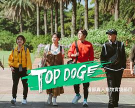七色视频《TOP DOG》免费在线观看