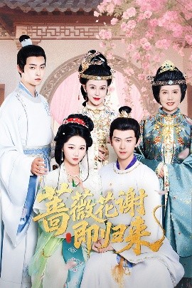 七妹导航《蔷薇花谢即归来》免费在线观看